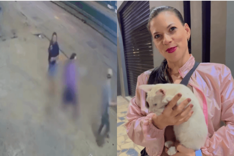 Mulher defende gato de agressão e decide adotar o animal em Capitão Poço, no Pará