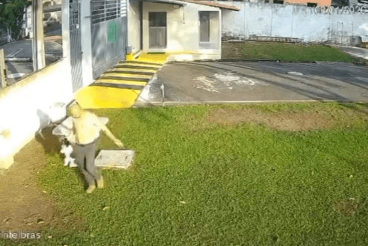 OAB garante na Justiça proteção e cuidados para cão vítima de maus-tratos