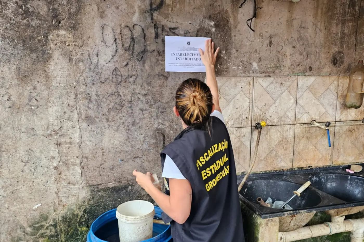 Operação contra abate clandestino interdita quatro estabelecimentos em Paragominas