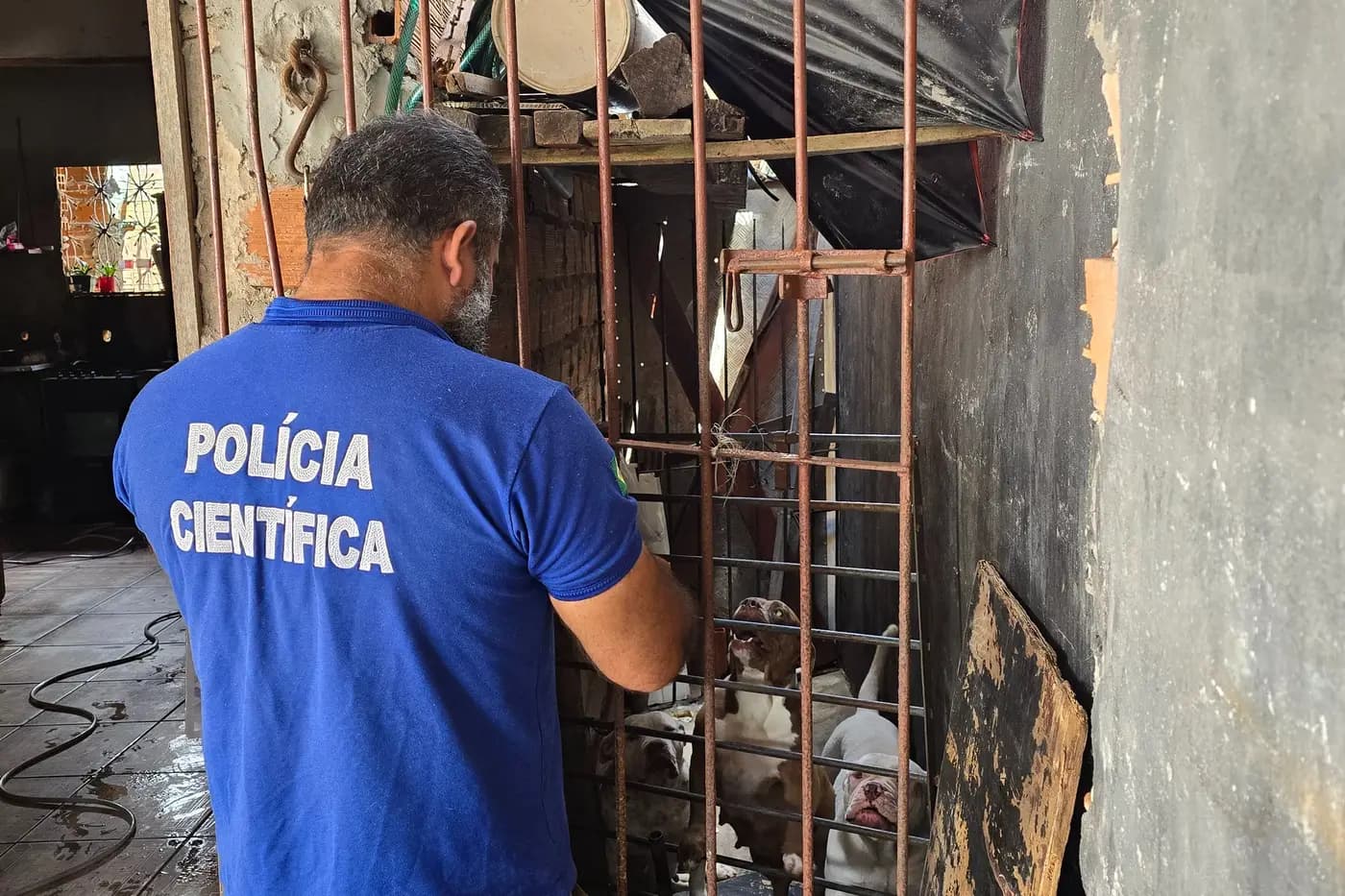 Operação contra maus-tratos a animais apura mais de 50 denúncias e resulta em prisão em Belém e Região Metropolitana