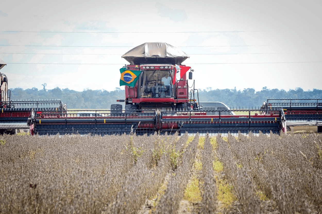 Pará assume a vanguarda do novo agro, com tecnologia, regeneração e produtividade na Amazônia