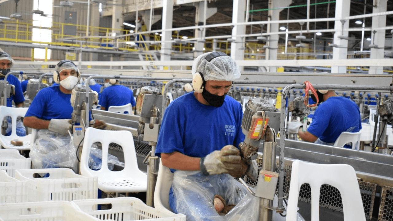 Pará registra saldo de 275 mil empregos formais desde 2019, aponta Dieese
