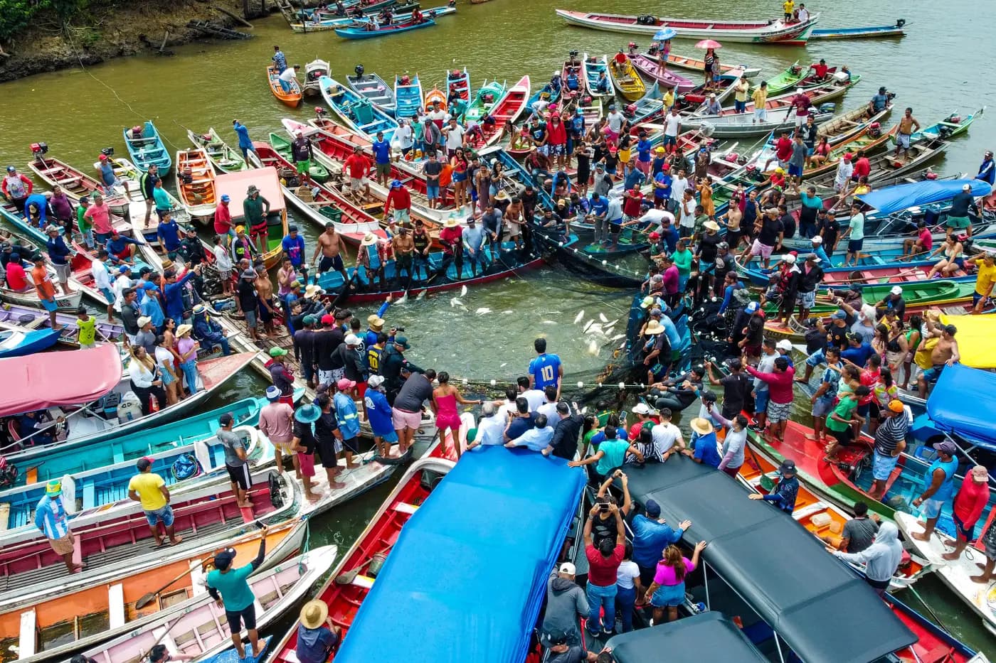 Pesca do mapará é retomada neste domingo após quatro meses de defeso