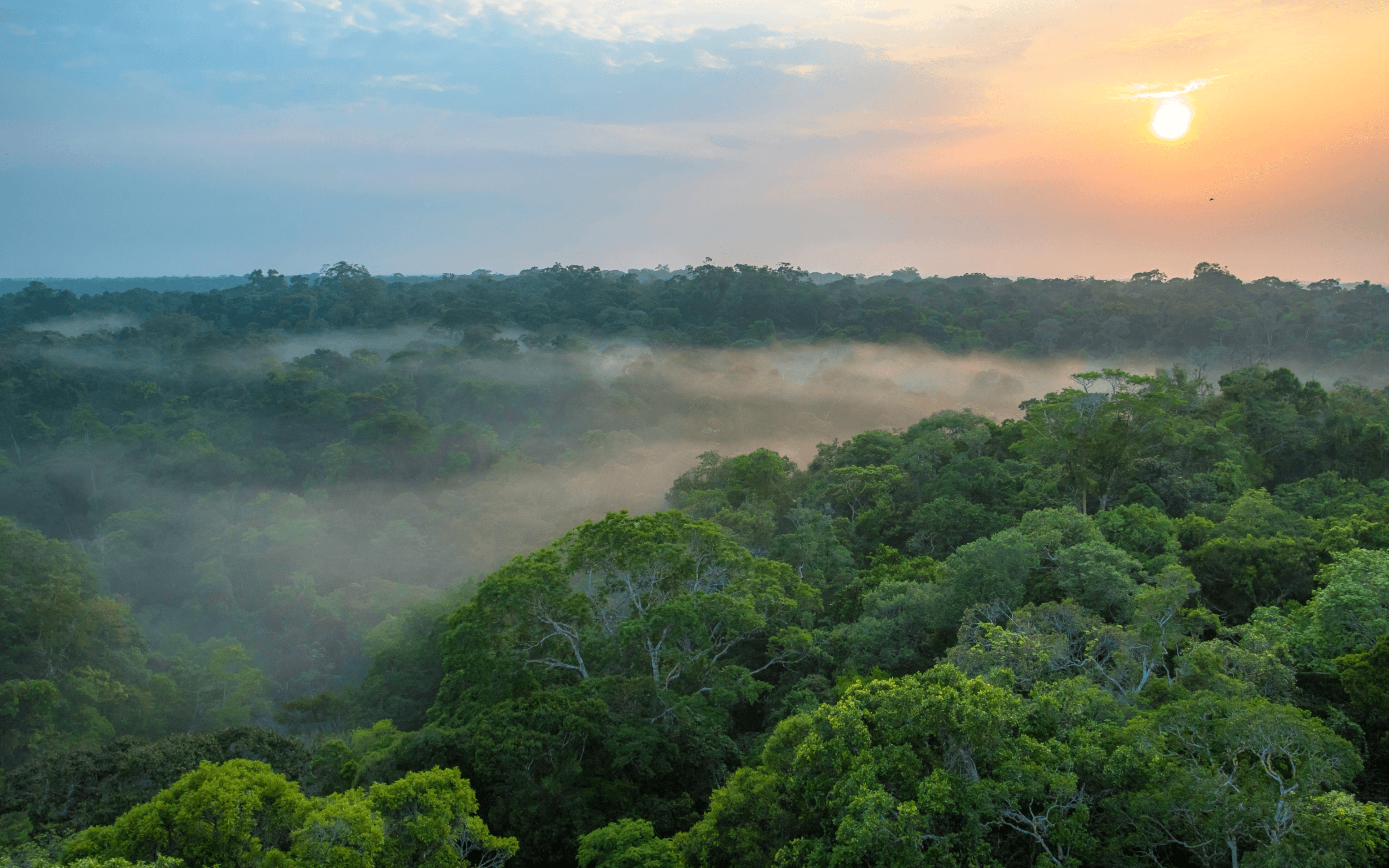 Pesquisadores descobrem reserva de água no Brasil que pode abastecer o mundo por 250 anos