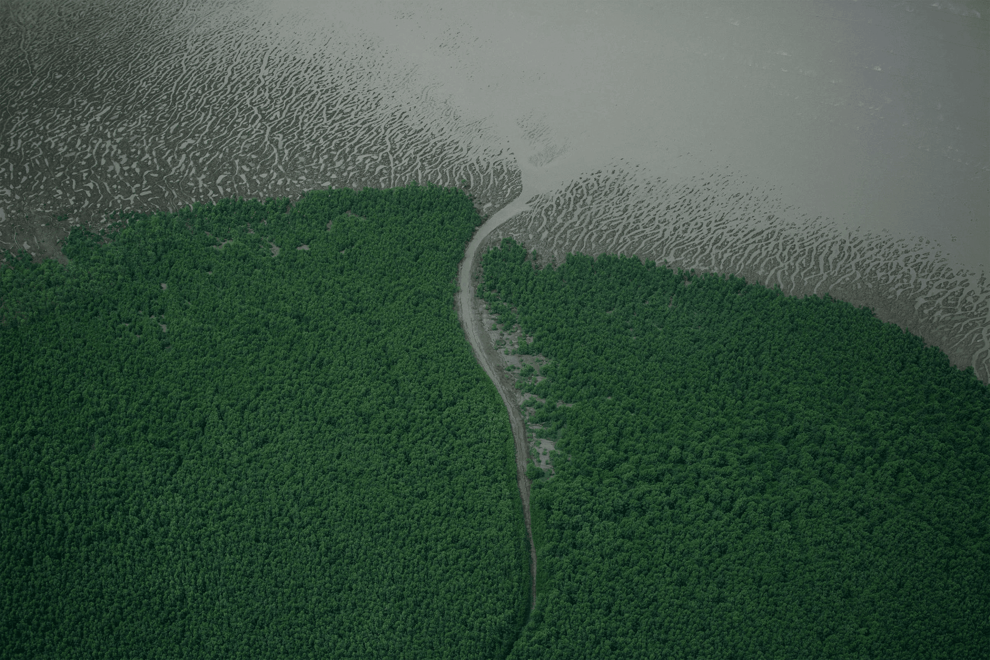 Às vésperas da COP30 Petrobras obtém licença do Ibama para pesquisar petróleo na Foz do Amazonas