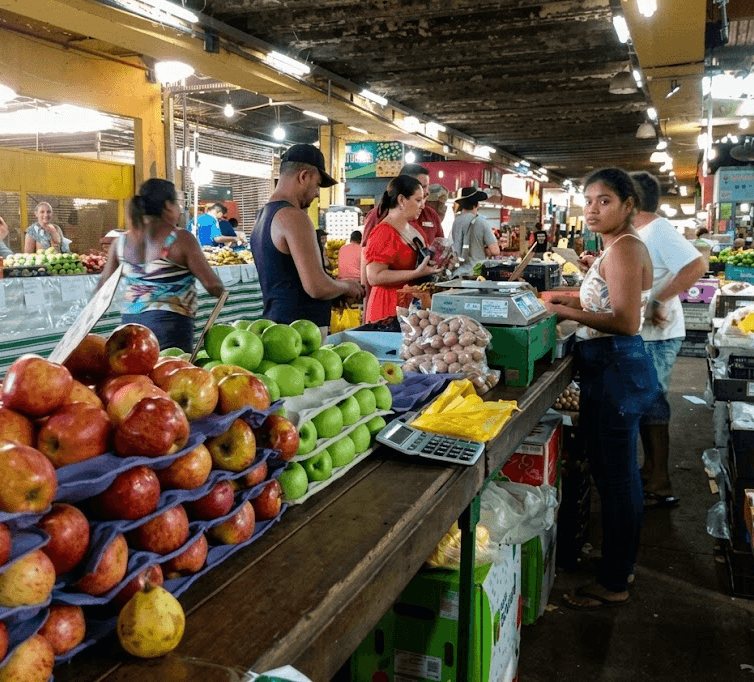 Preço da comida coloca o Pará no centro da nova geopolítica alimentar, revelam novos estudos