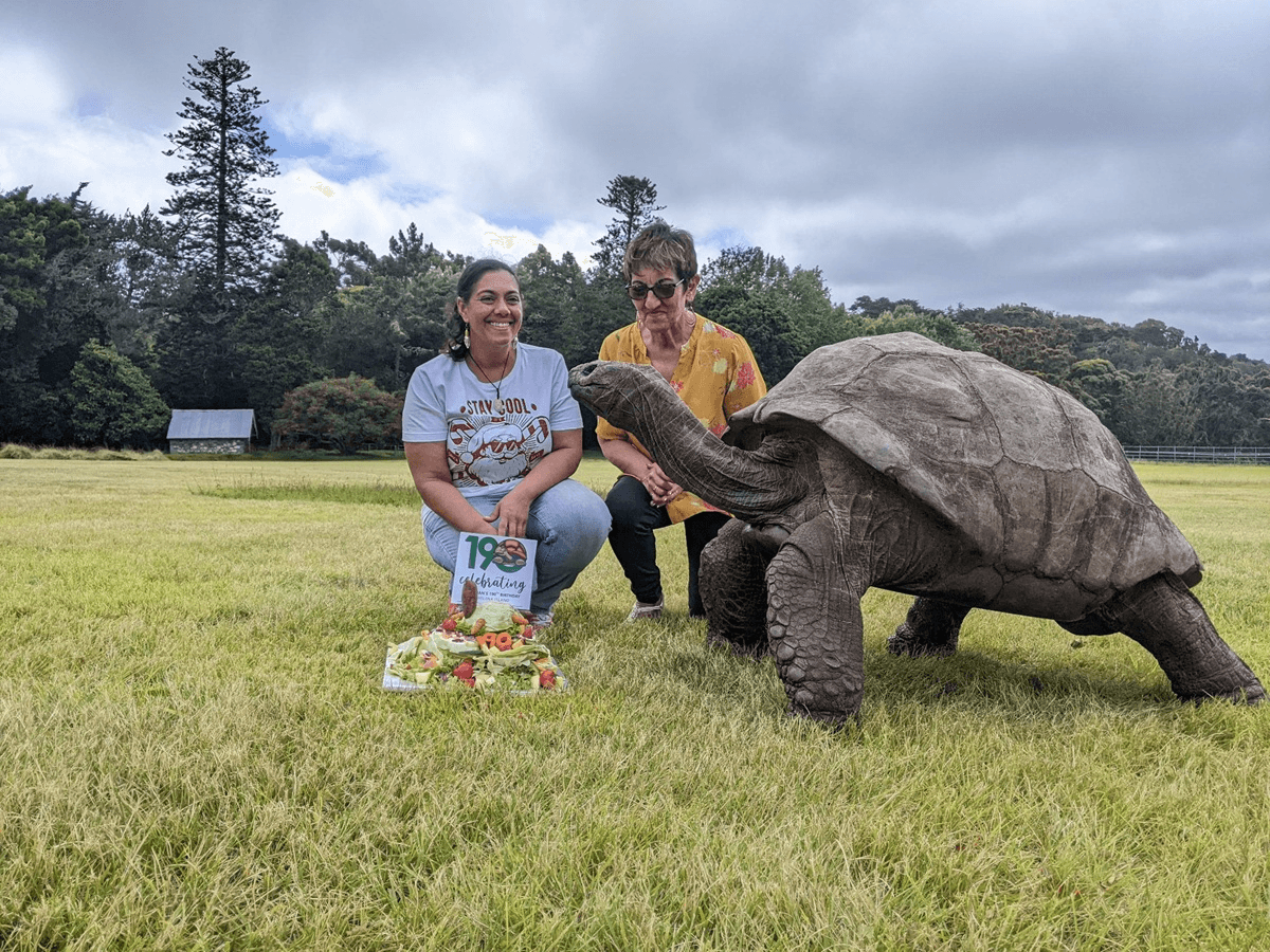 Publicação que anuncia morte do animal mais velho do mundo é falsa; tartaruga Jonathan segue viva