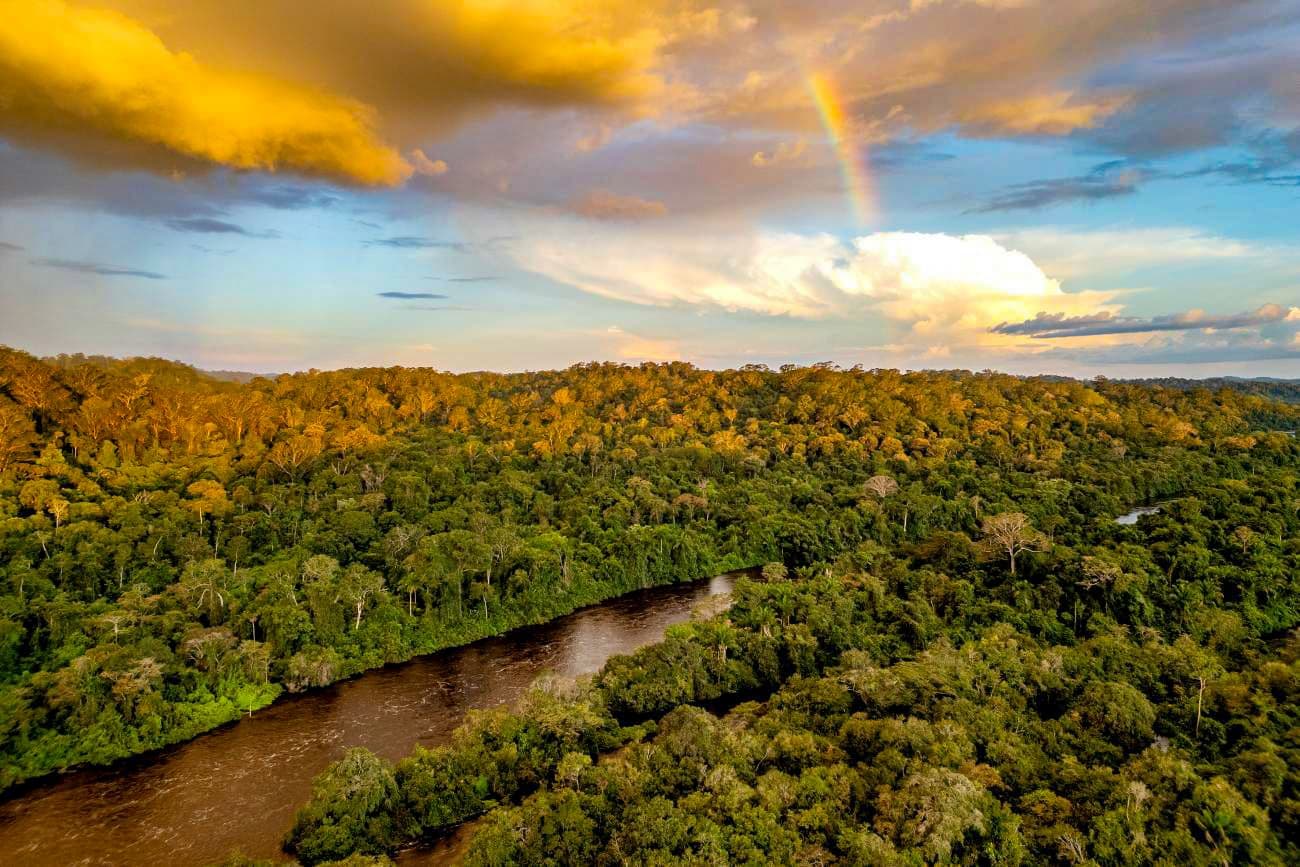 Redução do desmatamento no Pará fortalece governos estadual e federal às vésperas da COP30