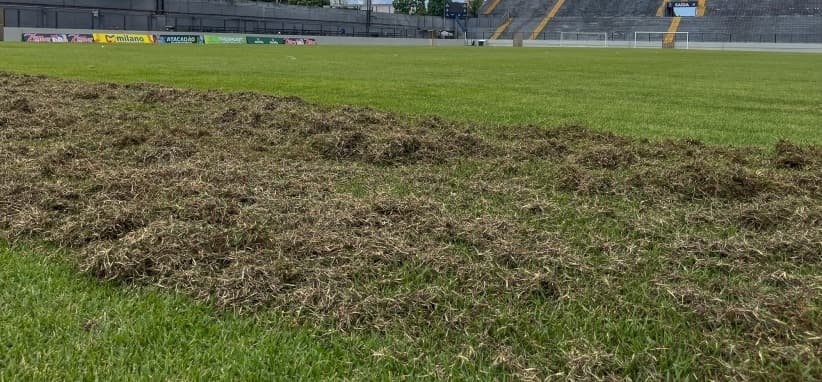 Remo: gramado do Baenão passa por revitalização para a Série A de 2026