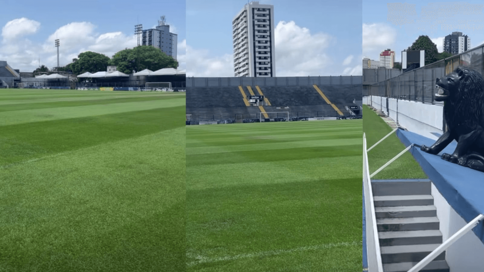 Remo prepara Baenão para os próximos jogos em casa pela Série B