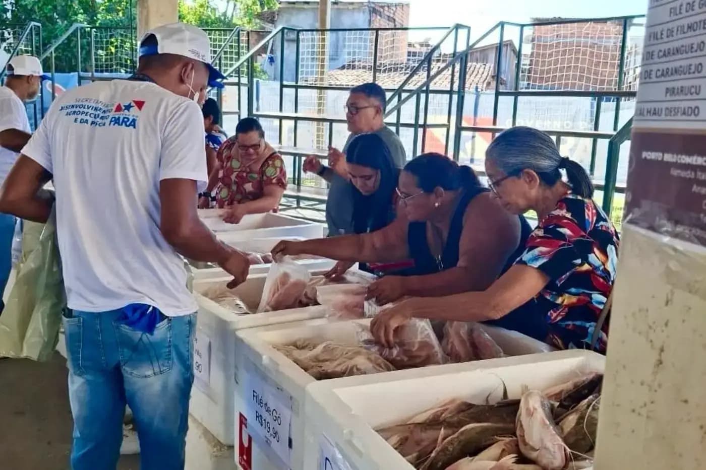 Semana do Pescado amplia oferta de peixes em Belém e mais 70 municípios do estado durante a Semana Santa
