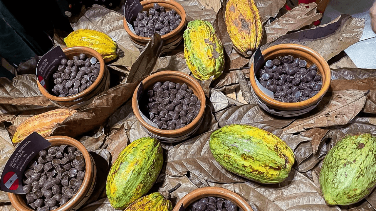 Senado aprova projeto que define percentual mínimo de cacau em chocolates no Brasil
