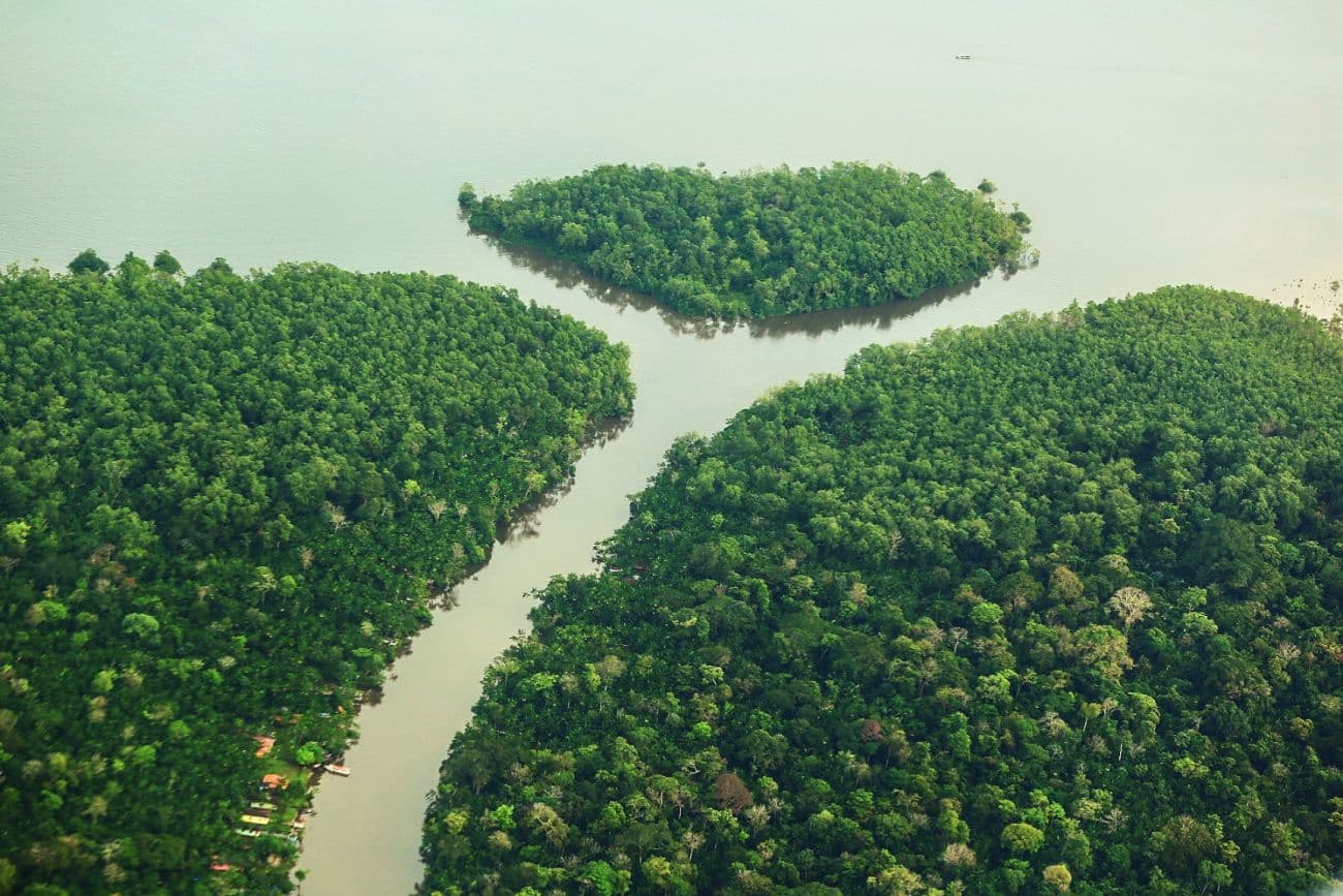 Suíça anuncia novo aporte ao Fundo Amazônia e lança presença oficial na COP30 em Belém