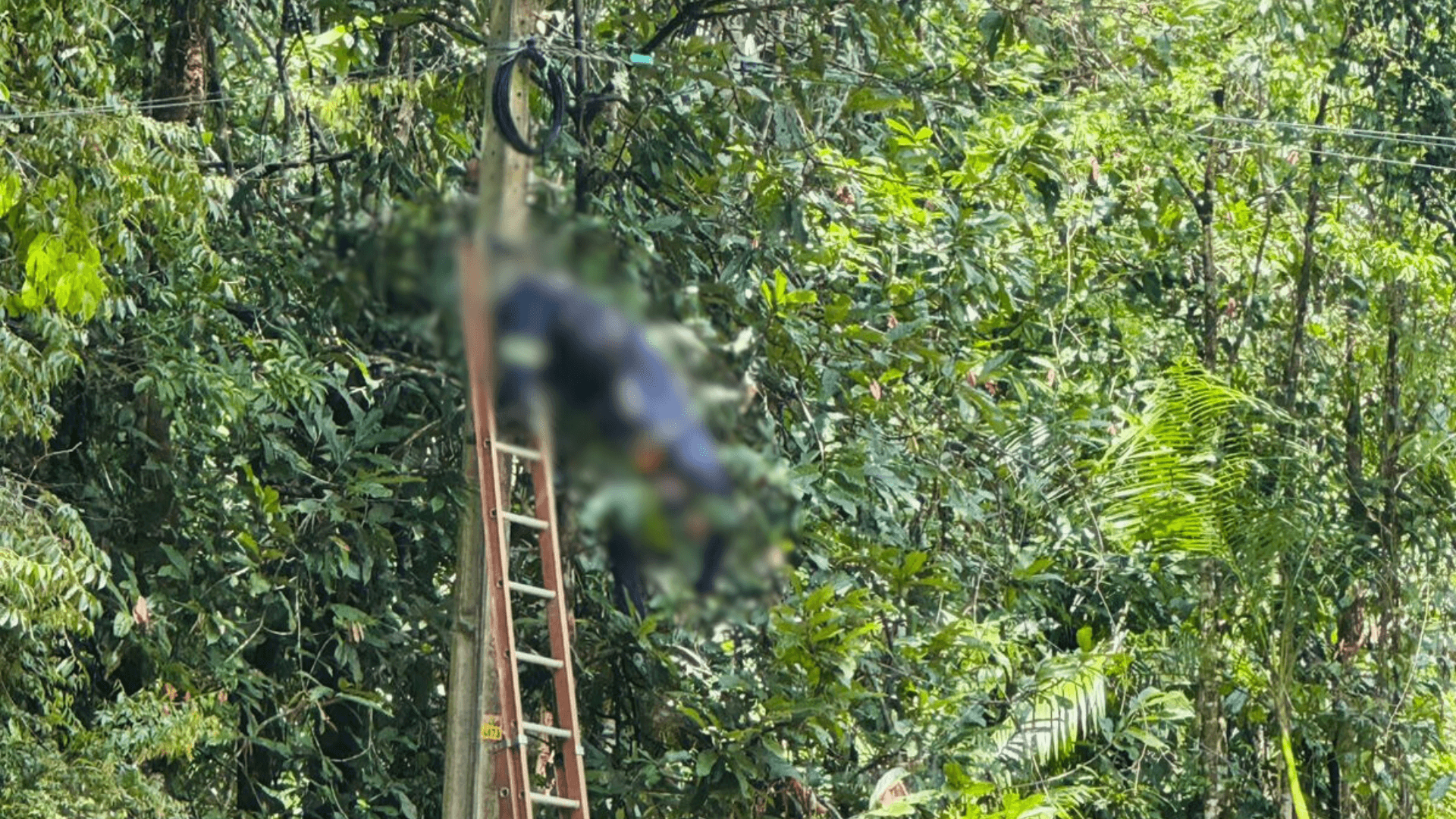 Trabalhador de empresa terceirizada de internet morre eletrocutado durante manutenção em Santa Bárbara