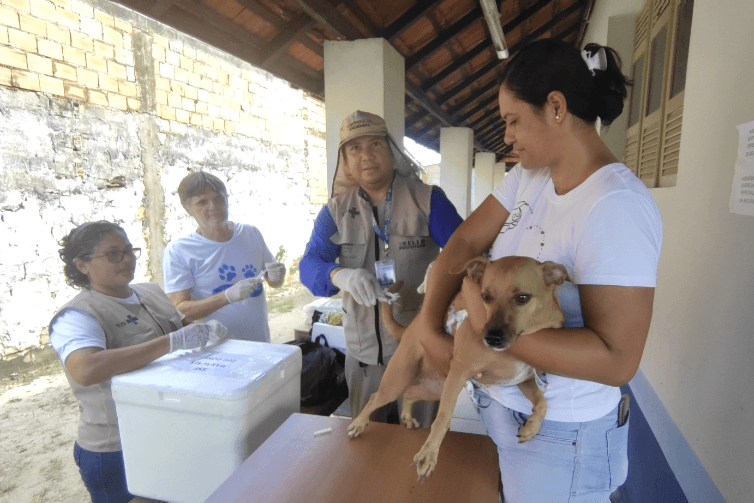 Vacinação antirrábica gratuita: veja onde imunizar seu pet em Belém neste sábado (20)