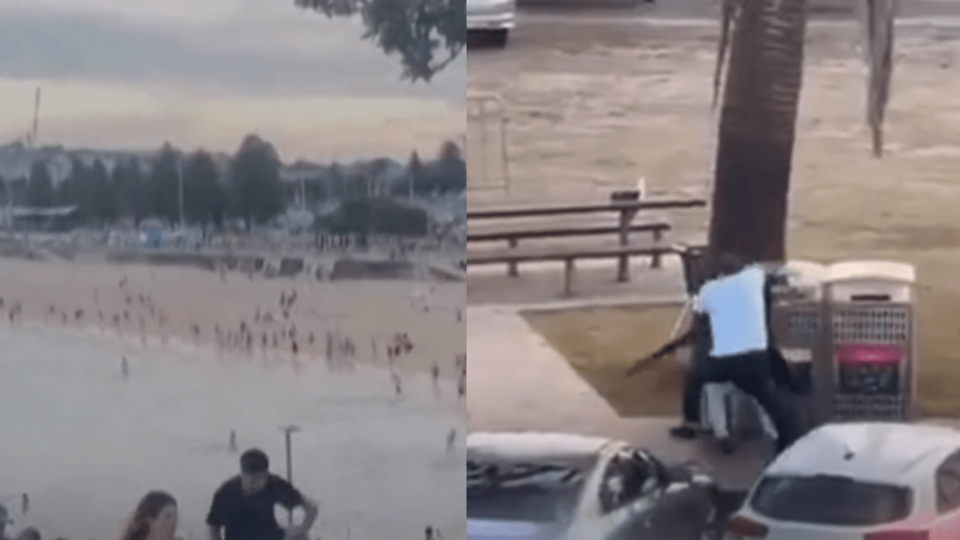 Vídeo: durante ataque a tiros na Austrália, homem desarma atirador