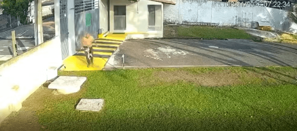 Vídeo: homem agride cachorro no Parque Verde, em Belém; polícia investiga o caso