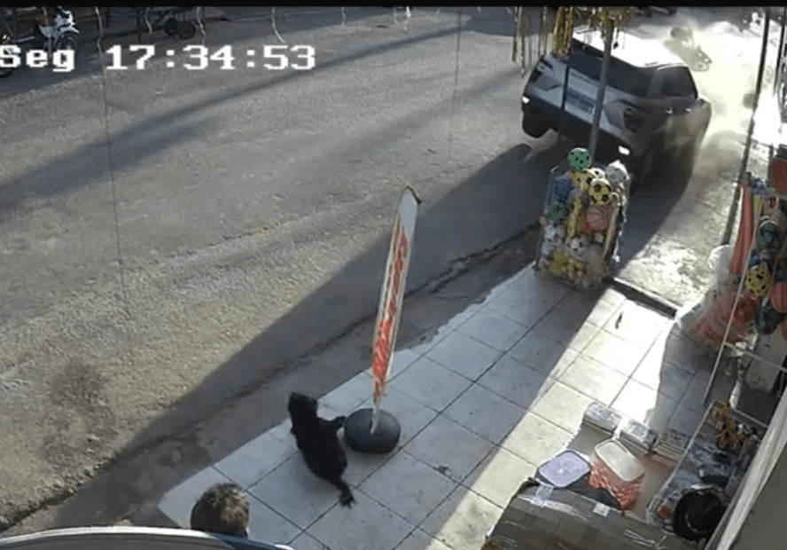 Vídeo: motorista dá ré em alta velocidade em Moju e deixa feridos
